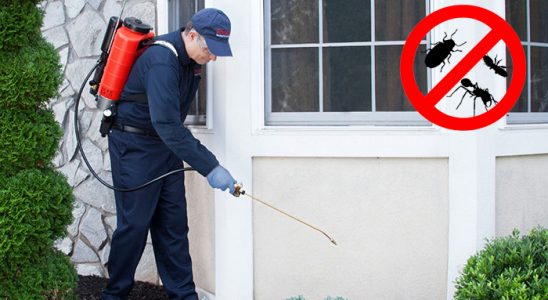Sarayönü Akrep İlaçlama böcek ilaçlama ve haşere kontrolü — ilaclama-tr.com